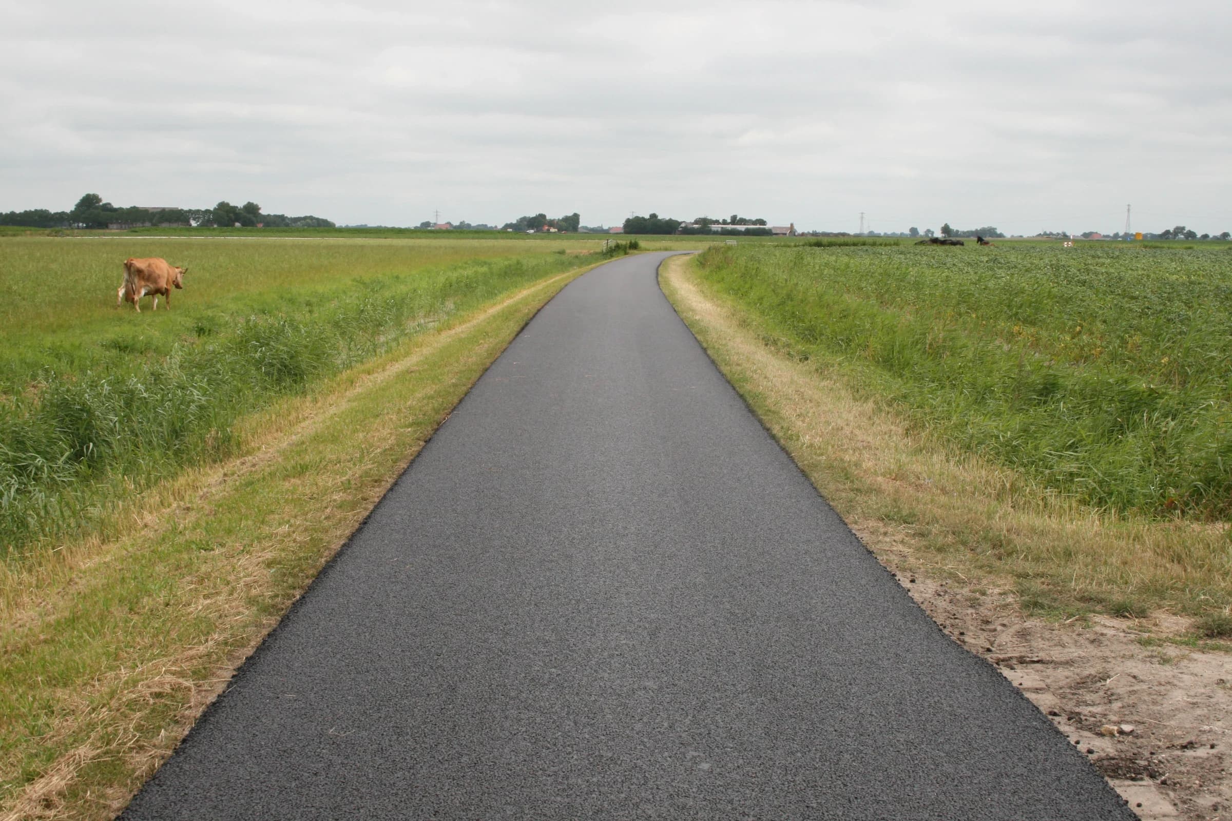 Road Reinforcement for Heavy Agricultural Traffic in Witmarsum — photo 1